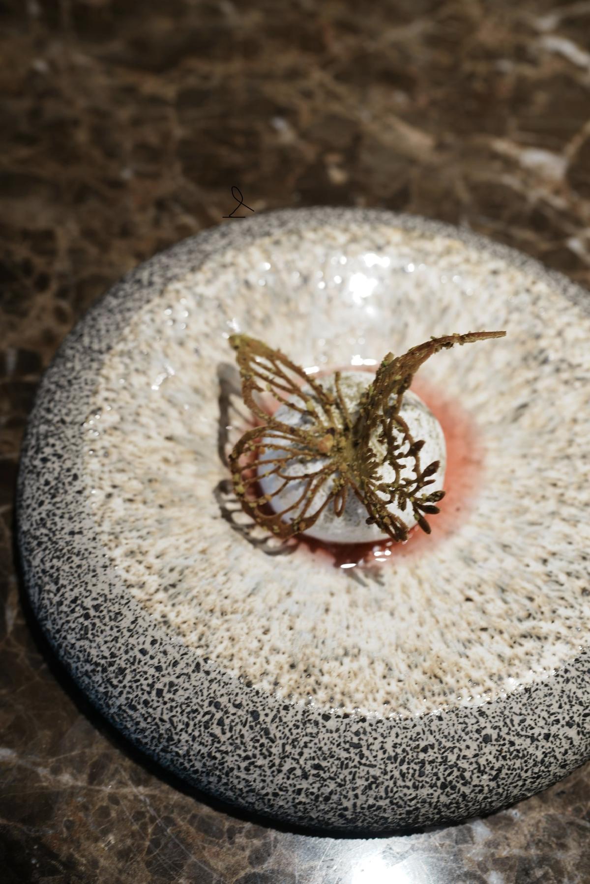 Coral-form tuile over herb emulsion on dark marble