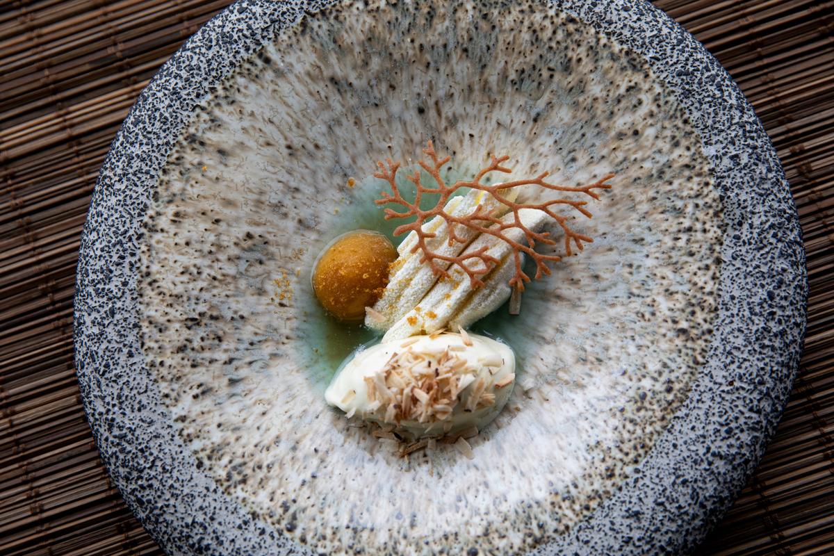 Dessert plated with a delicate coral tuile and cream on hand-thrown stoneware