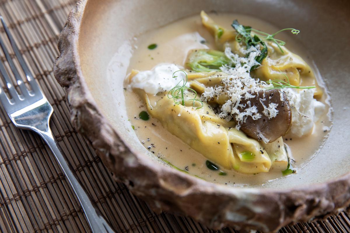 Handmade tortellini in truffle cream with stracciatella and shaved black truffle